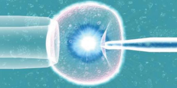fecondazione assistita