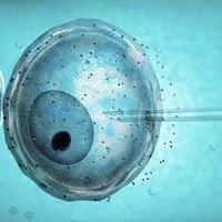 fecondazione-assistita-legge-40