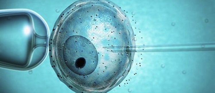 fecondazione-assistita-legge-40
