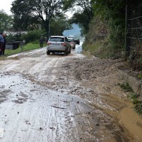 Frana_Casette_1074_life