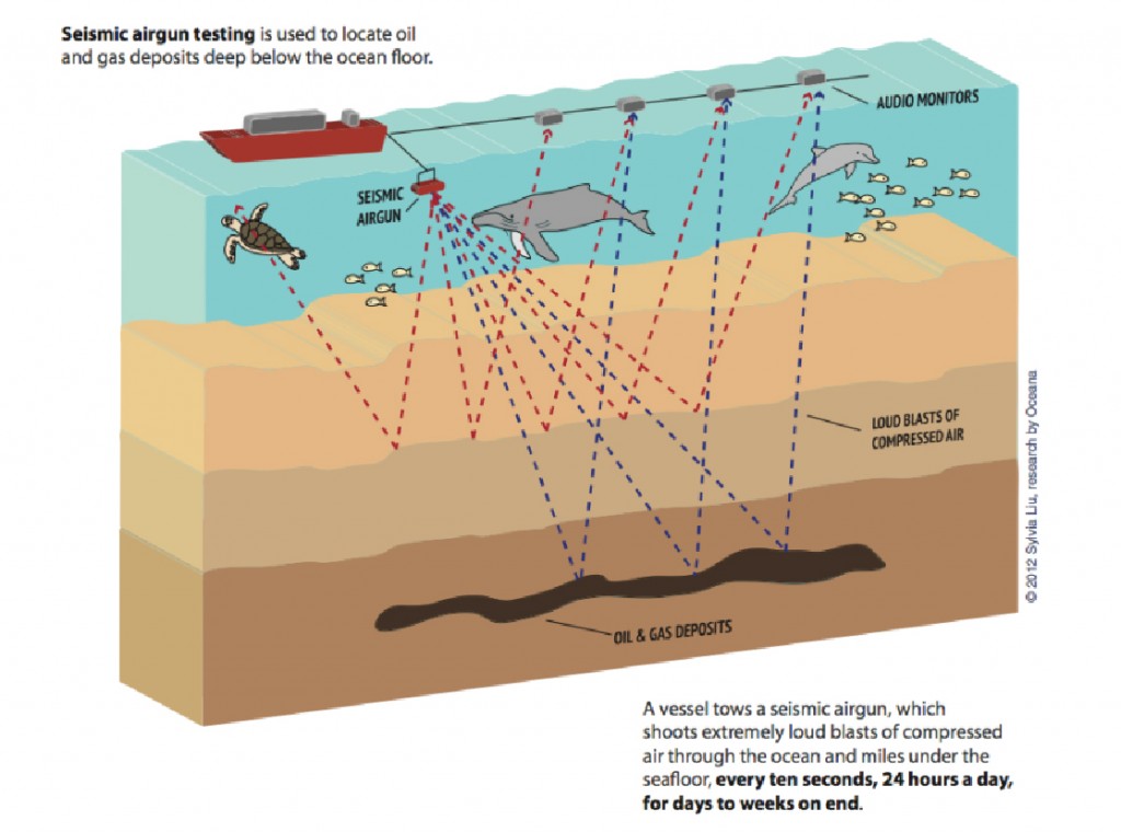 seismic argun testing