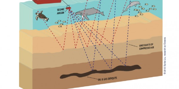 seismic argun testing