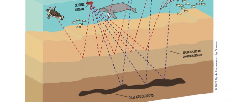 seismic argun testing