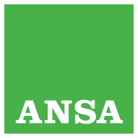 ansa