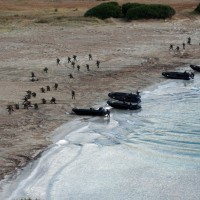 basi-militare-sardegna