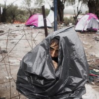 MSF154886 (High res)