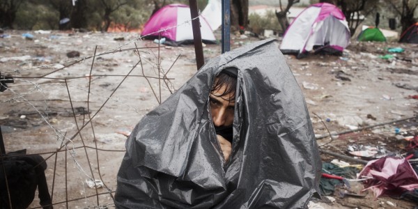 MSF154886 (High res)