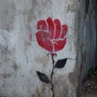 13419270_10208682557454257_6614168208017383033_n