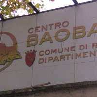 baobab1